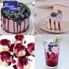 Blueberry Jam